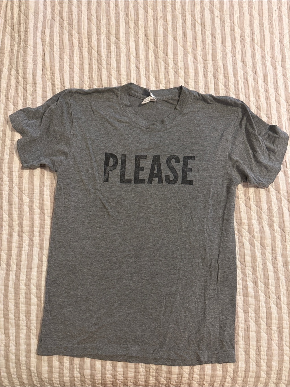 Men's Gray 'PLEASE & THANK YOU Graphic Tee